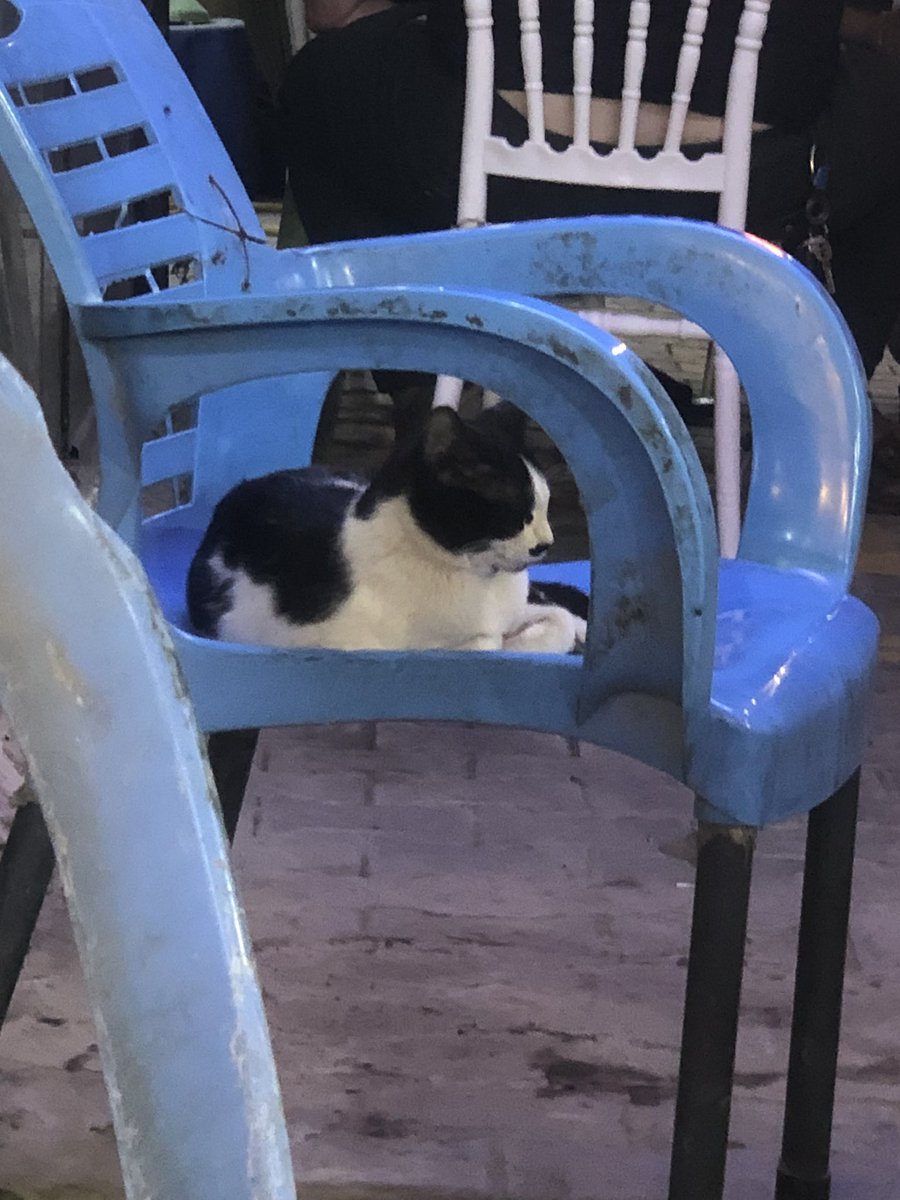 علي Ω tweet media