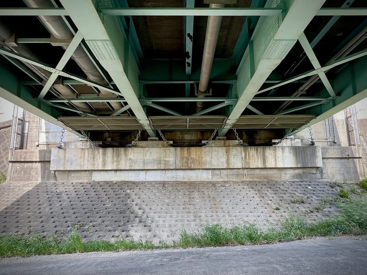 米たにヨシトモ tweet media