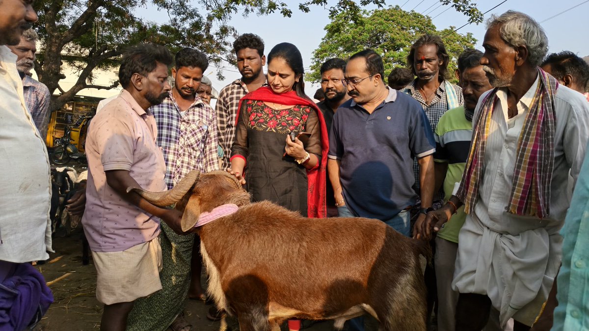 ballapallavitdp's tweet photo. రైతుల సమస్యలను తెలుసుకోవడం, వాటికి పరిష్కారాలు చూపడం, వారి అభివృద్ధికి కృషి చేయడం నా బాధ్యత. మార్కెట్ యార్డ్‌ను సందర్శించి రైతులతో మరియు వ్యాపారస్తులతో మాట్లాడడం జరిగింది🌾
#farmers #problems #first #marketyard #tdp https://t.co/NV1InN5A4H