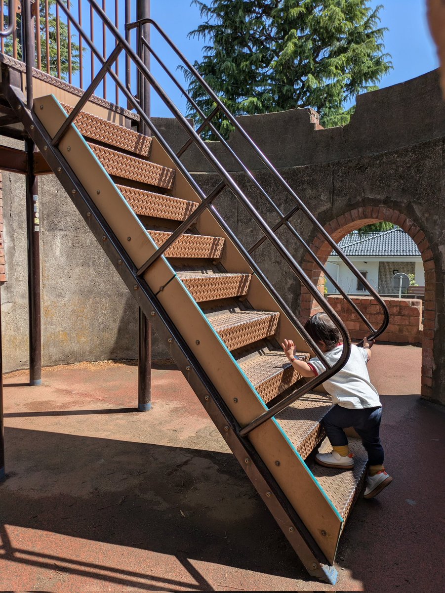 りっぴー tweet media