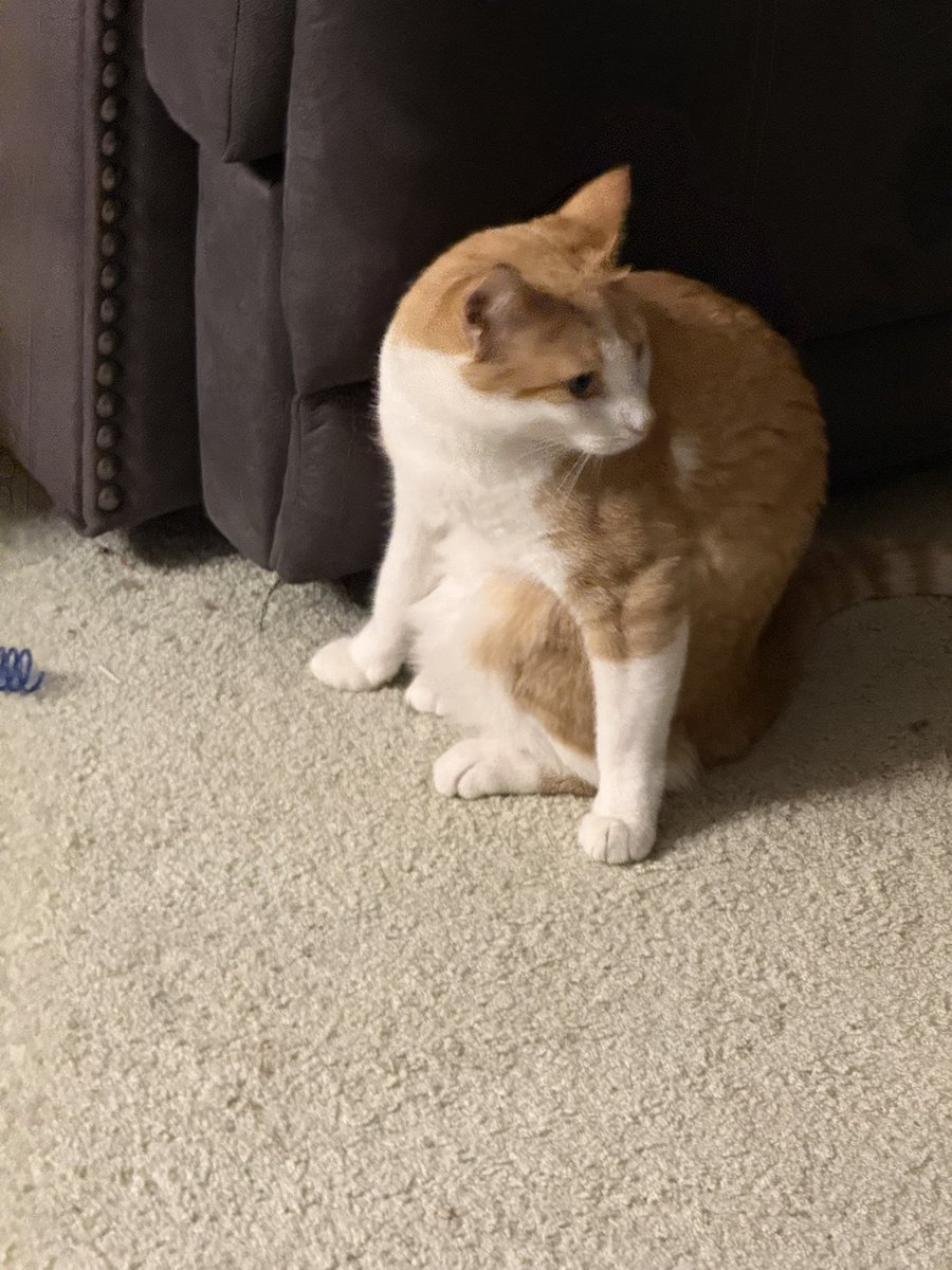 The Wizard of Winter Quarters tweet media