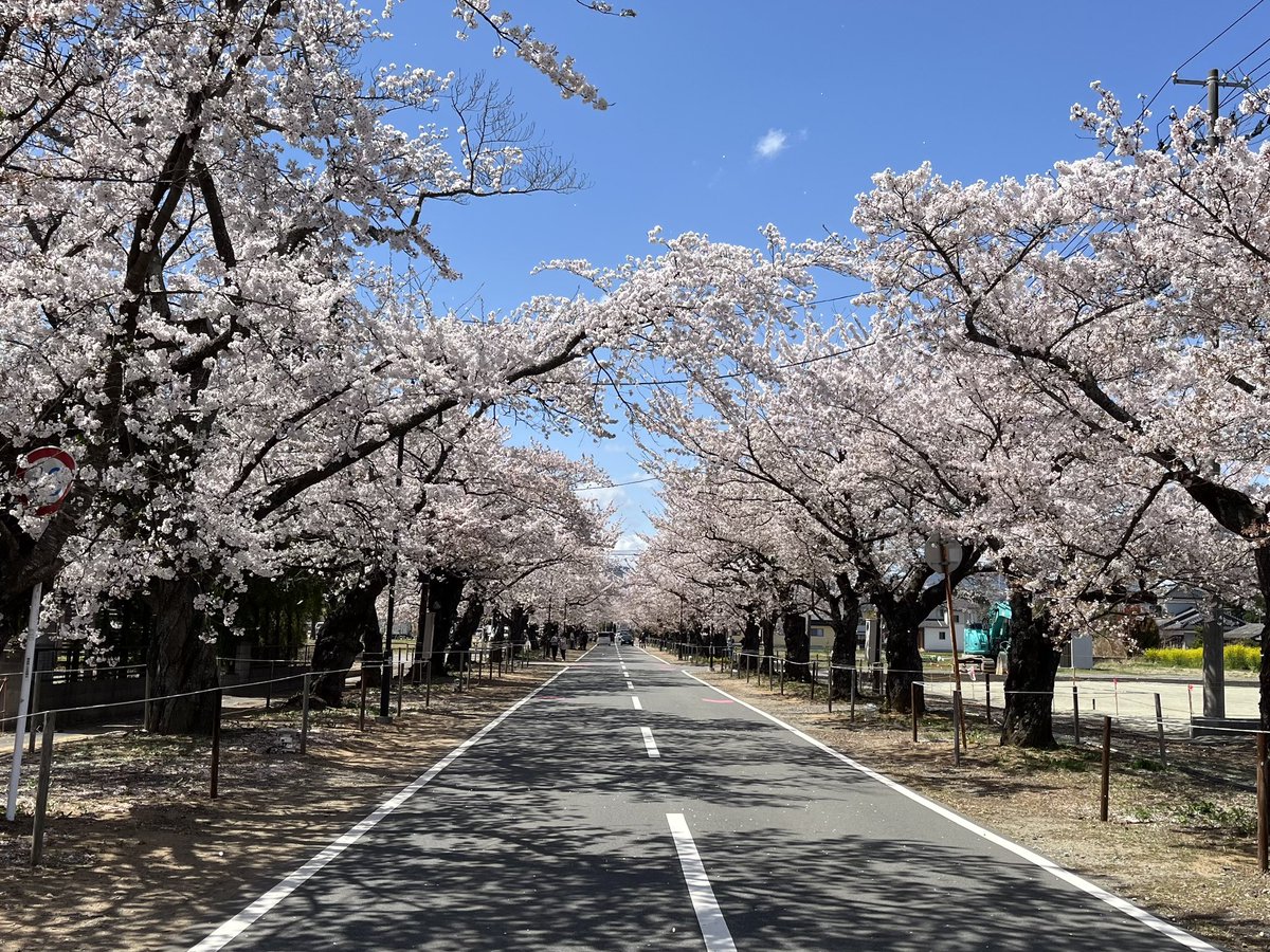 杏仁ﾚﾓﾝﾃｨｰ🍋COMIC1☆28【J12b】 tweet media