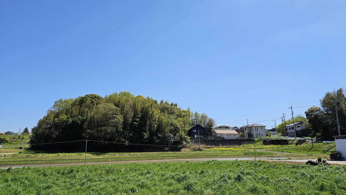 KAKUMASA tweet media