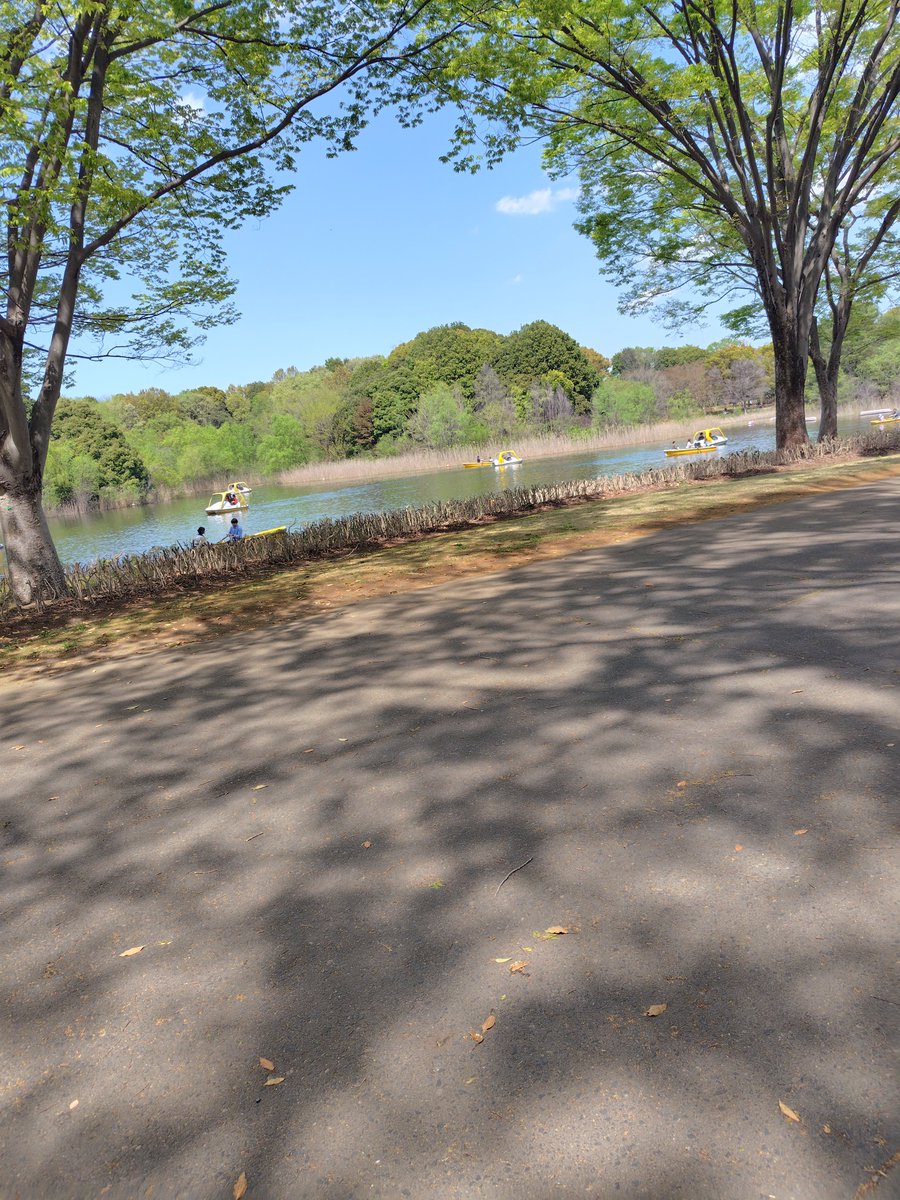 ペニーゆうすけ🦑🎒💧(💙,🧡) | 🌶️💢 Tabi 🟧base.eth tweet media