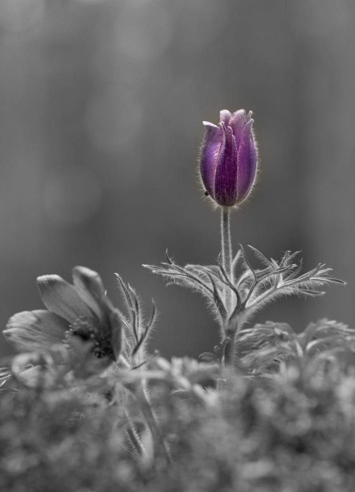 Natallia_Planet tweet media