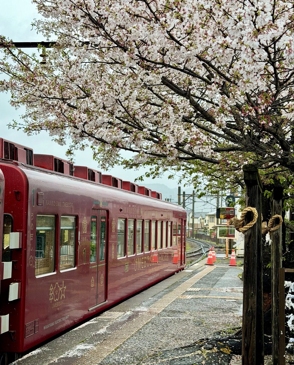 Philip s44 tweet media