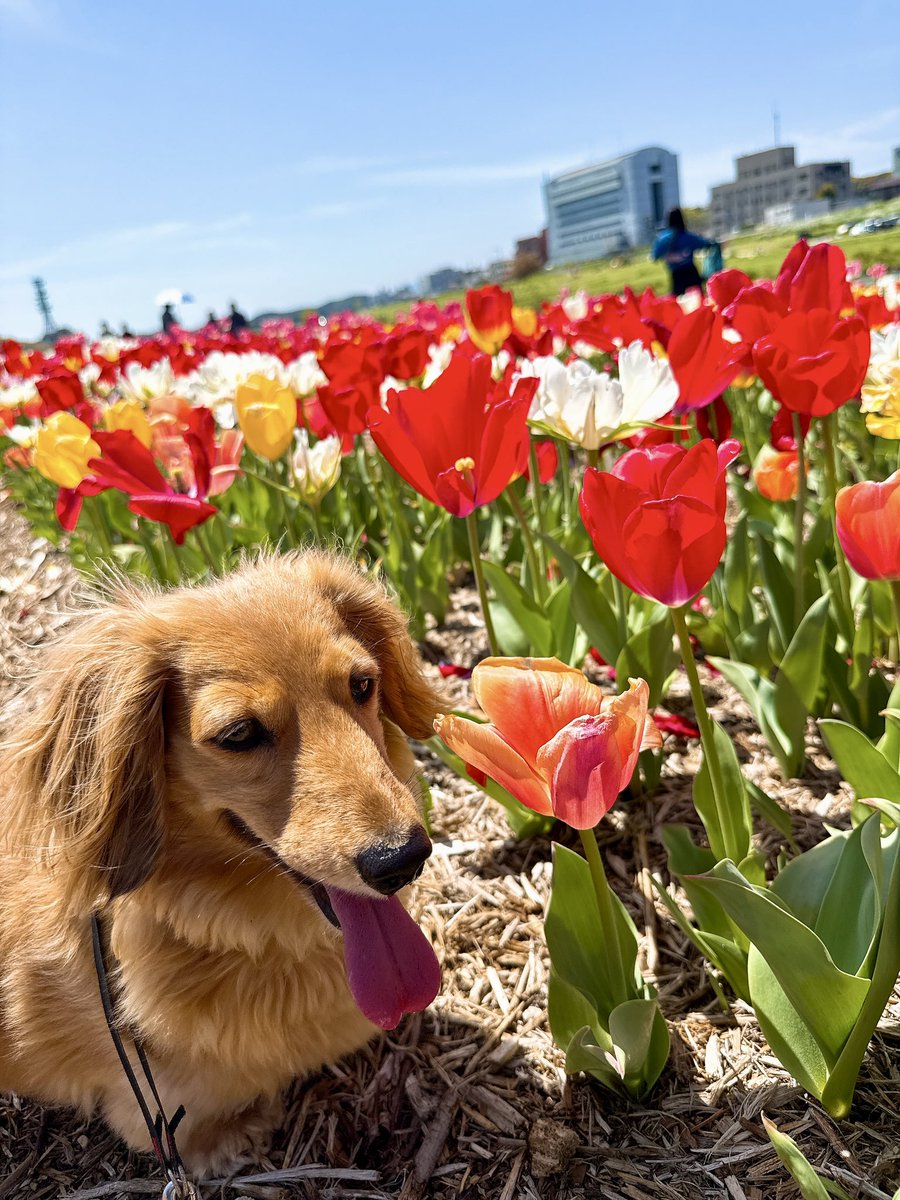 もなか tweet media