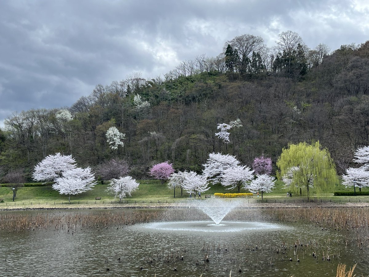 じゅんじゅん♪ tweet media