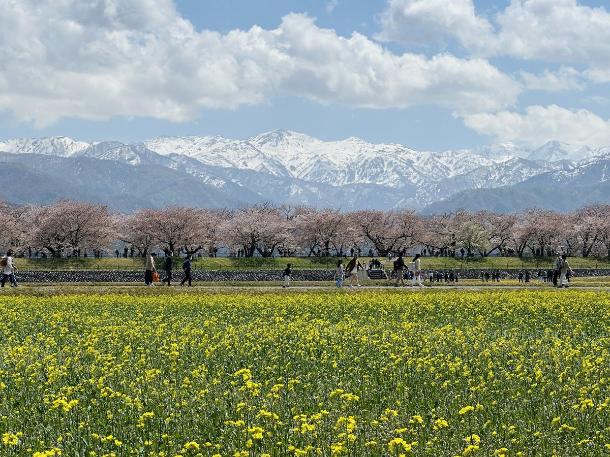 なつめ tweet media