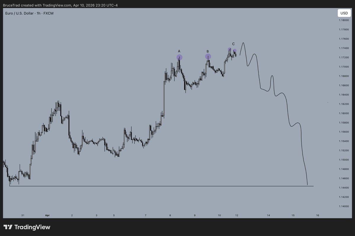 BRUCE TRADE tweet media