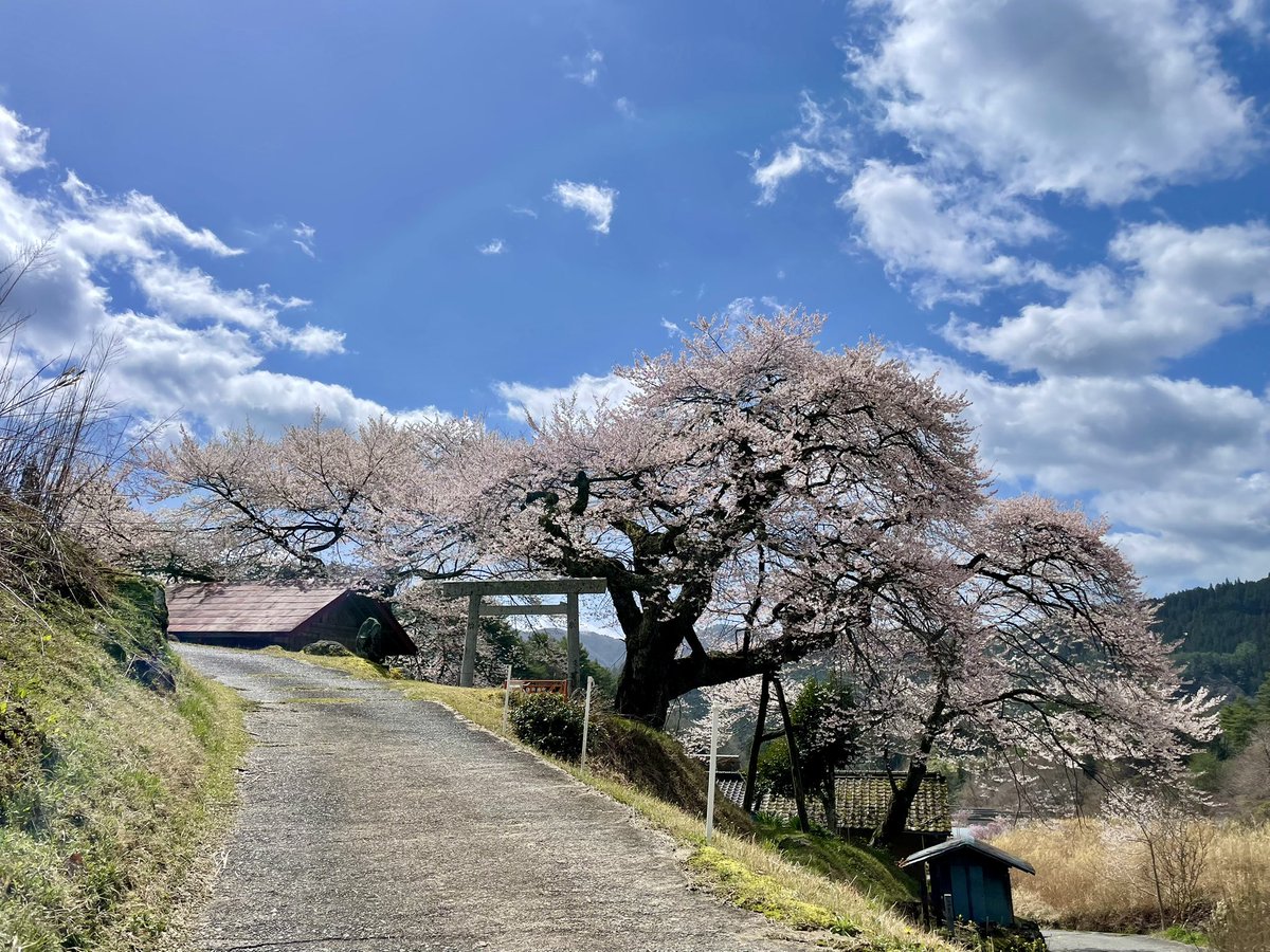 Seras@FF14(SEEKERのフロントバンパーの人) tweet media