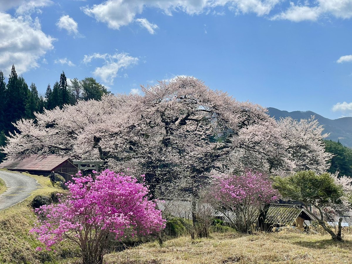 Seras@FF14(SEEKERのフロントバンパーの人) tweet media