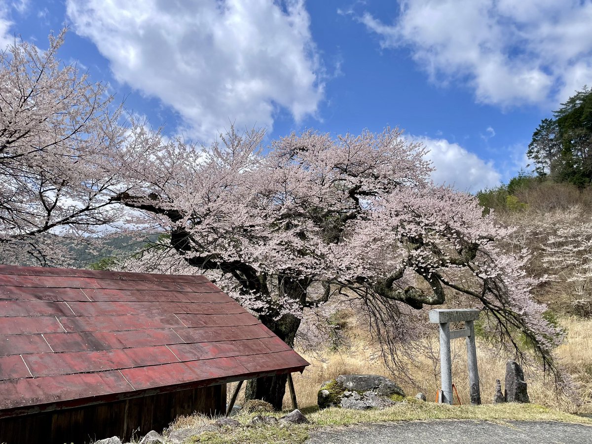 Seras@FF14(SEEKERのフロントバンパーの人) tweet media