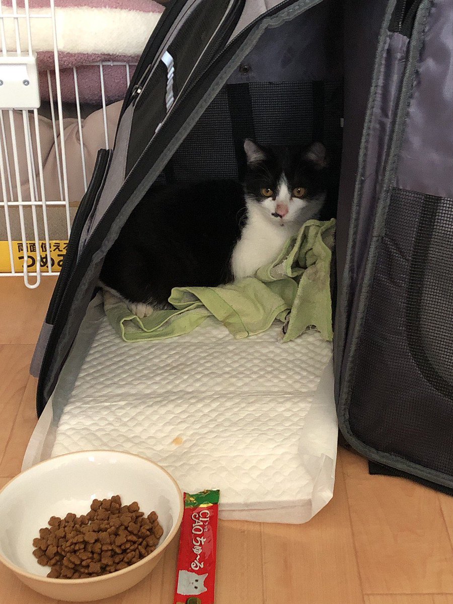 ふるいち tweet media