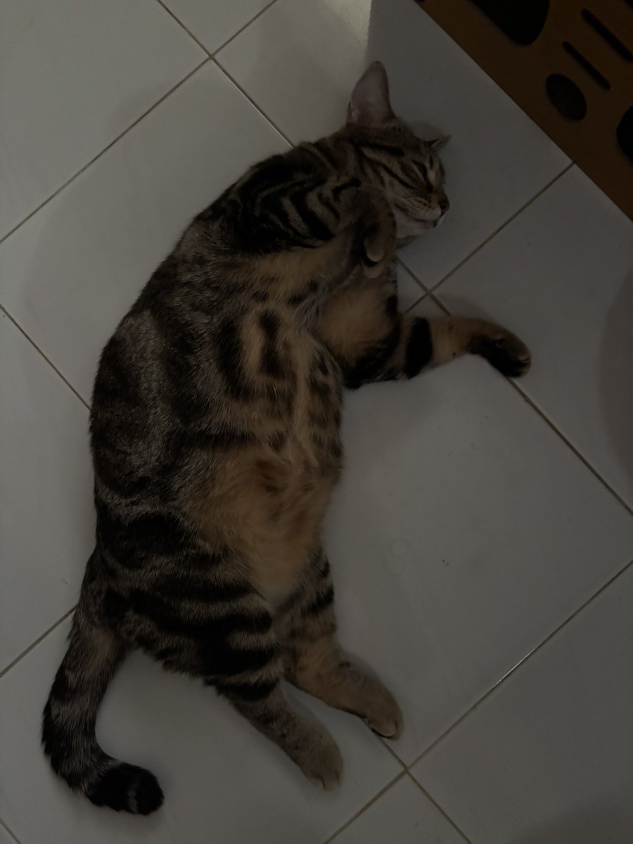 ♡︎ ᴘᴀʀᴋᴜ.ᴜ ˙Ⱉ˙ ʕ•ᴥ•ʔ tweet media