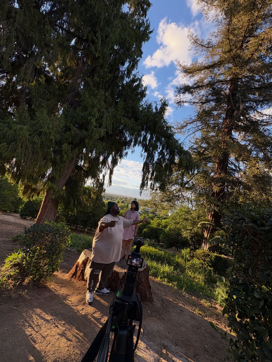 Noa James tweet media