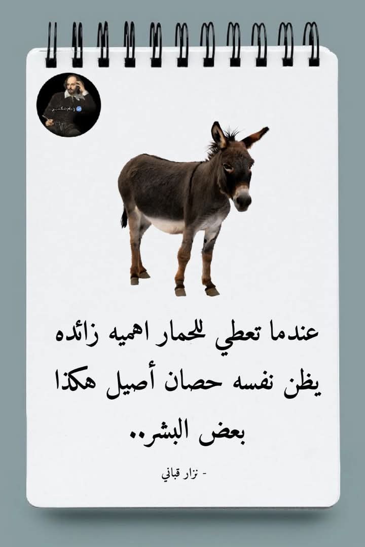 ميلاد ميخائيل tweet media