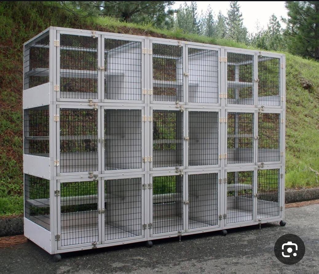 Ernesto’s Sanctuary for Syrian Cats tweet media