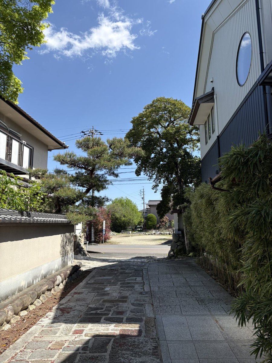 3Dモデルなんじゃないかってくらい綺麗