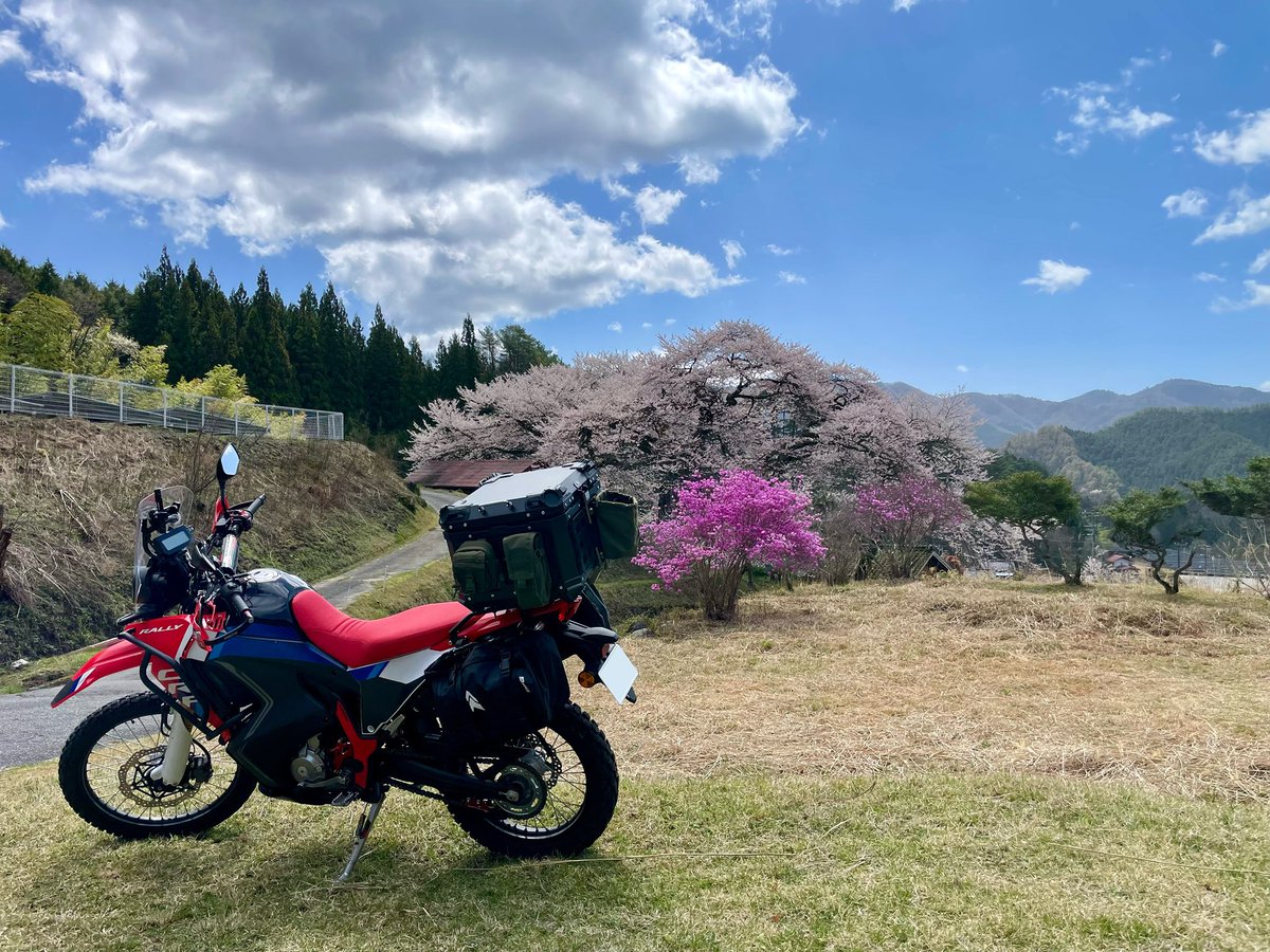 Seras@FF14(SEEKERのフロントバンパーの人) tweet media