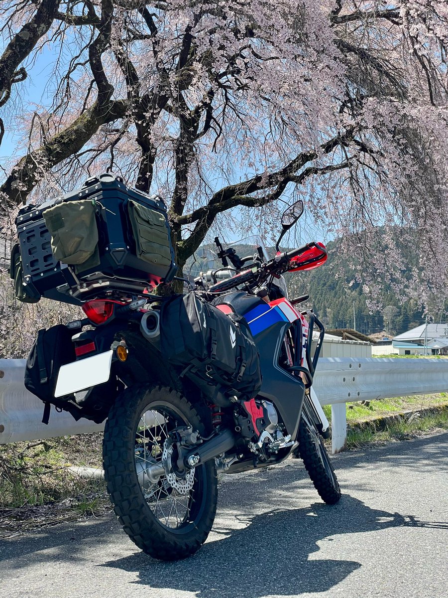 Seras@FF14(SEEKERのフロントバンパーの人) tweet media