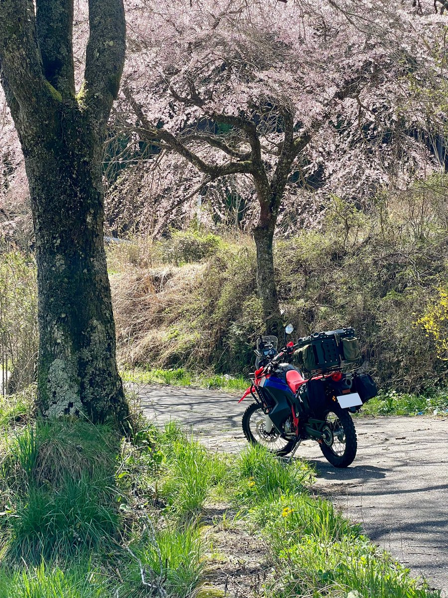 Seras@FF14(SEEKERのフロントバンパーの人) tweet media