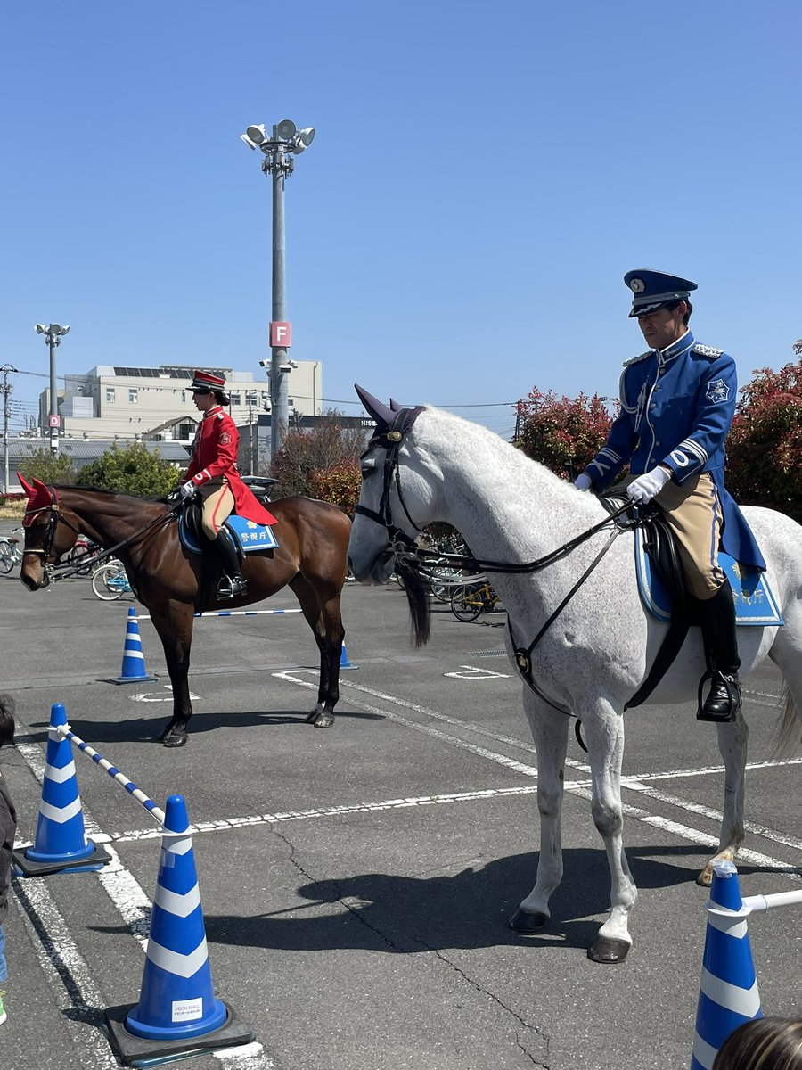 イオンモールむさし村山駐車場で『春の全国交通安全運動』の啓発イベントが開催されております💦
乗馬のお披露目、ハーレー試乗や交通少年団による、自転車講習も併せて開催中です♪