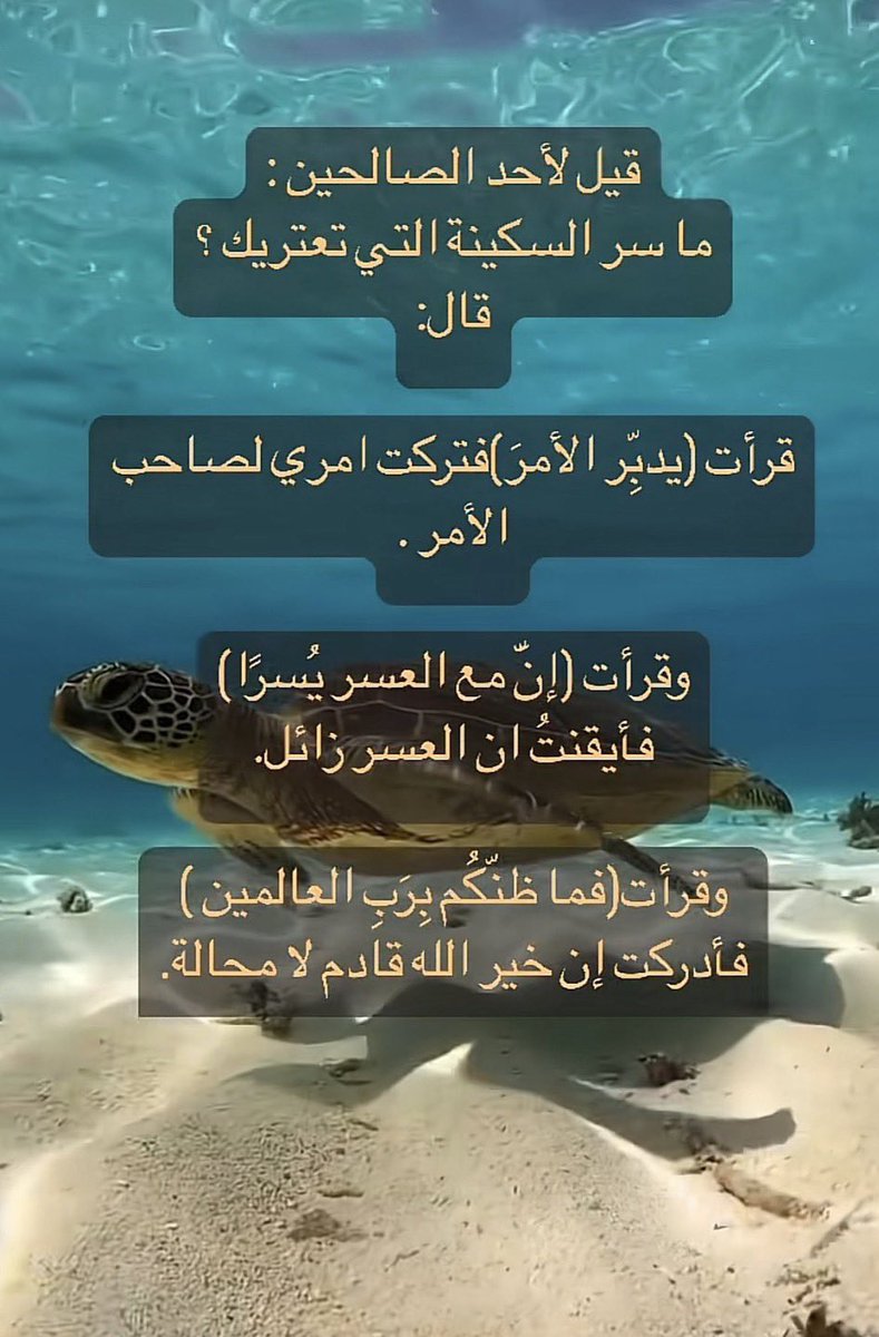 فاطمة المرواني (@falmrwani0) on Twitter photo 