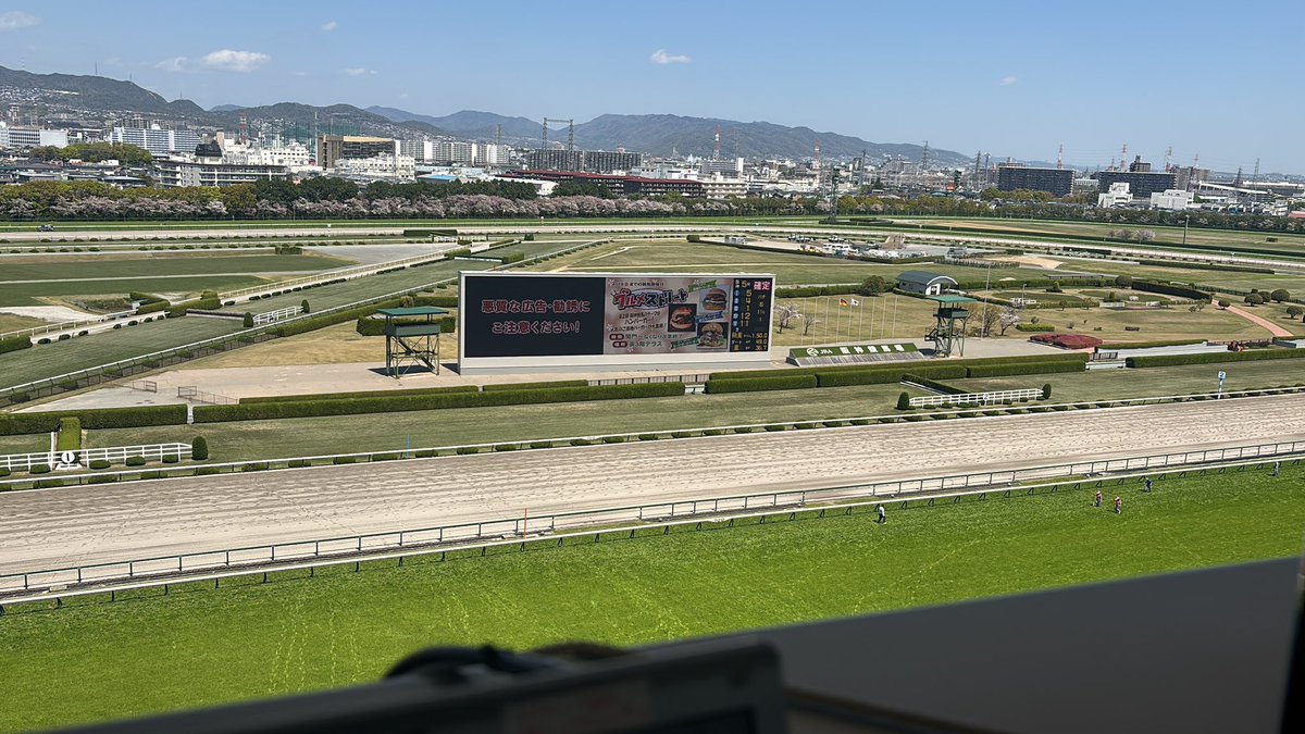 井上達也　デイリースポーツ(競馬) tweet media