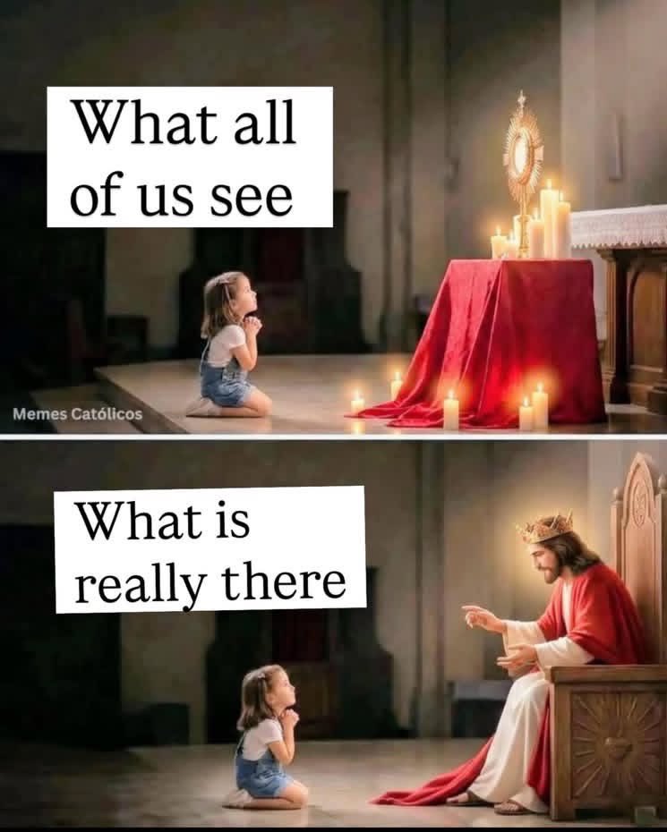 𝚕𝚒𝚝𝚝𝚕𝚎 𝚘𝚗𝚎 ♱🇻🇦 tweet media