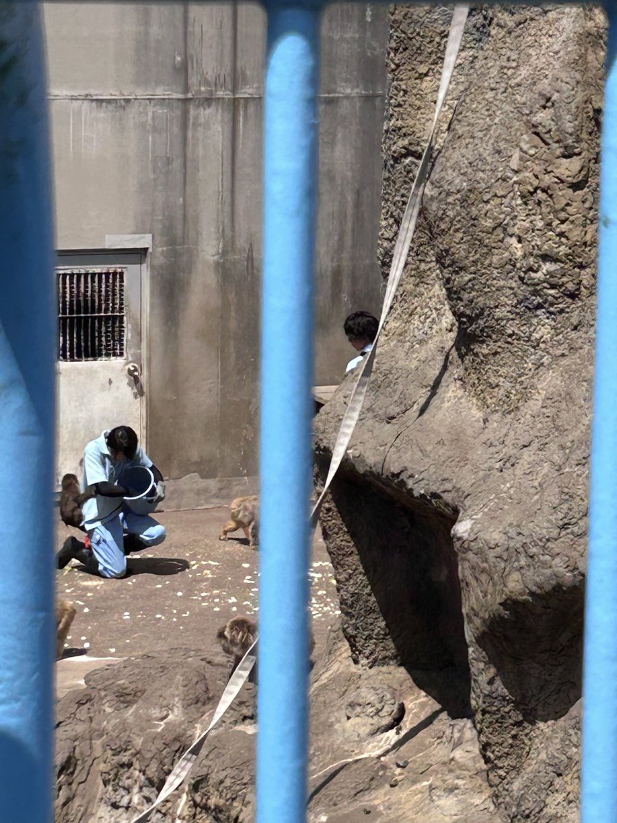 寝下痢カンタービレ tweet media