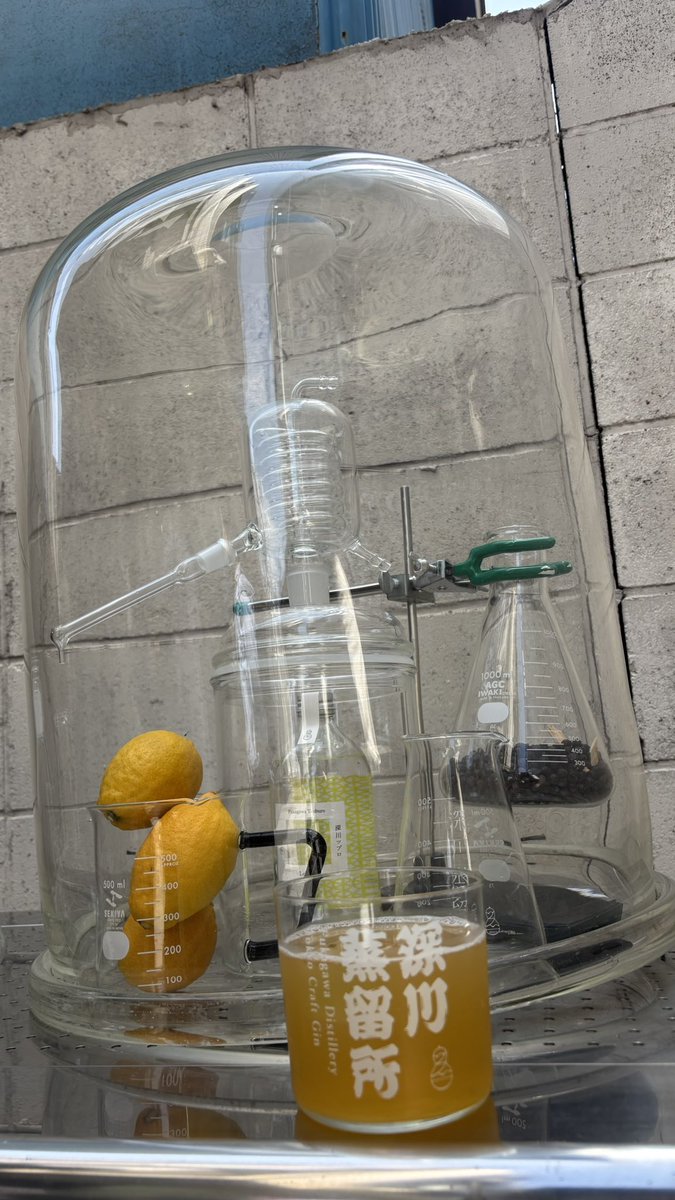 スイ(翠) tweet media