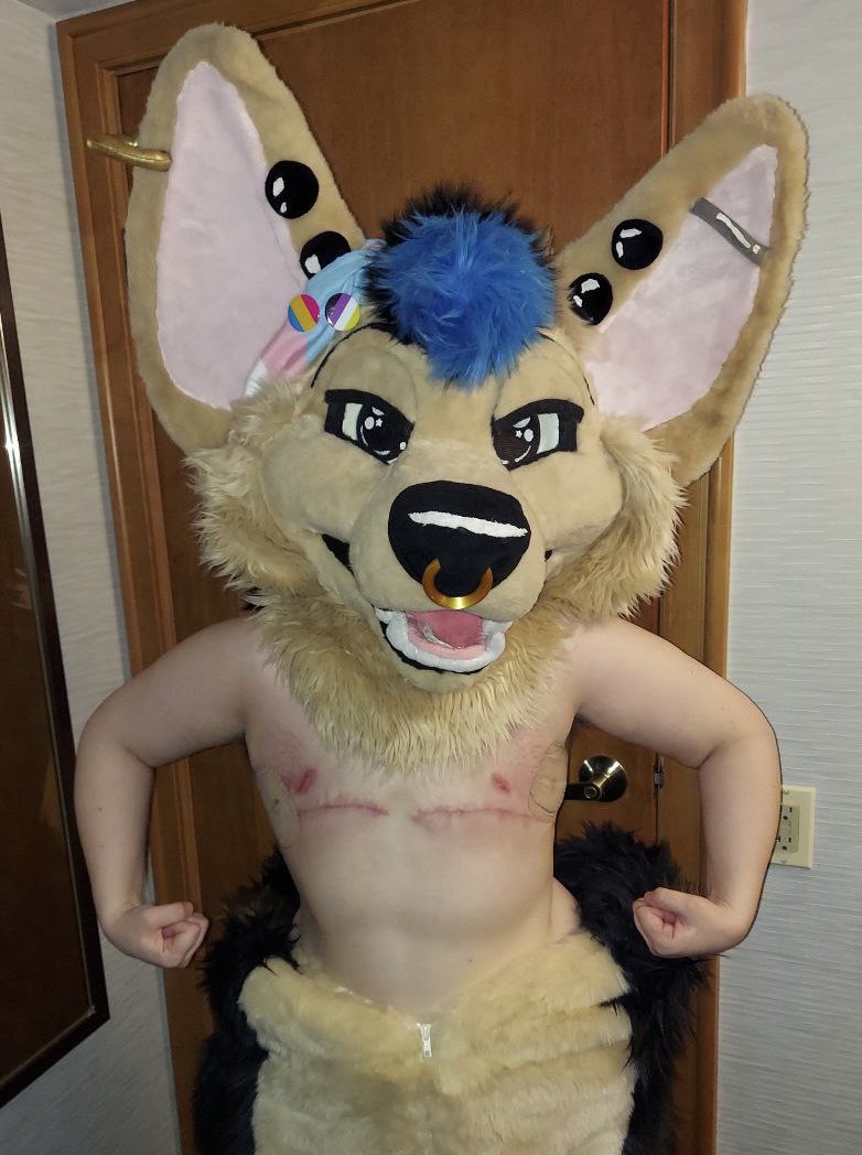 🏳️‍⚧️ Chibi Floof 🏳️‍🌈 🔜 PREY tweet media