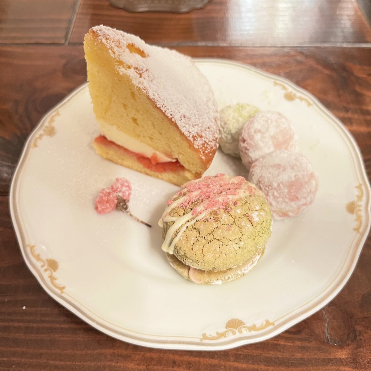 こさめ🦈🔰(ド新人) tweet media