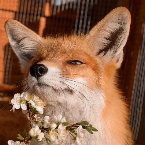 airi | JAYpril🌻 tweet media