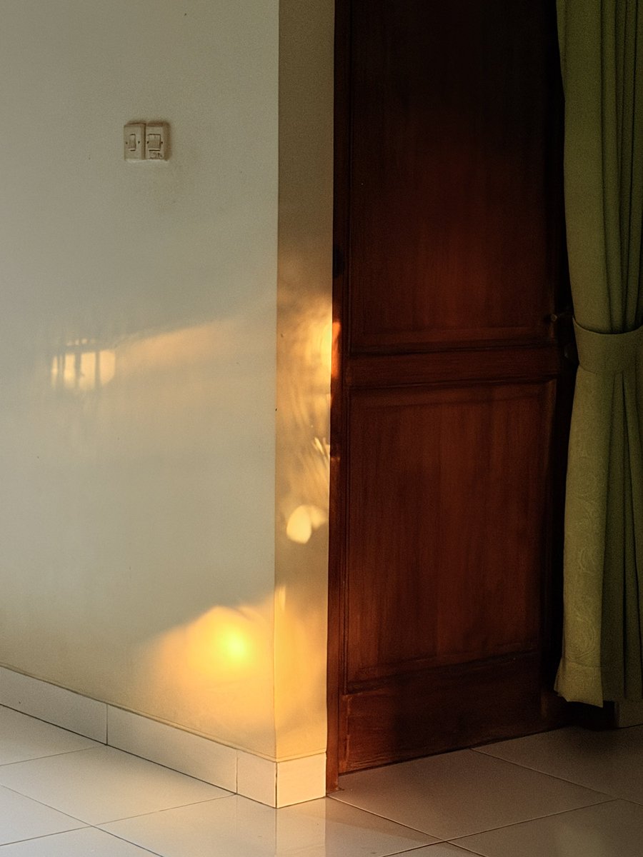 Almond Donuts 🍩 tweet media