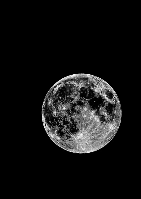 Ken Stephani tweet media