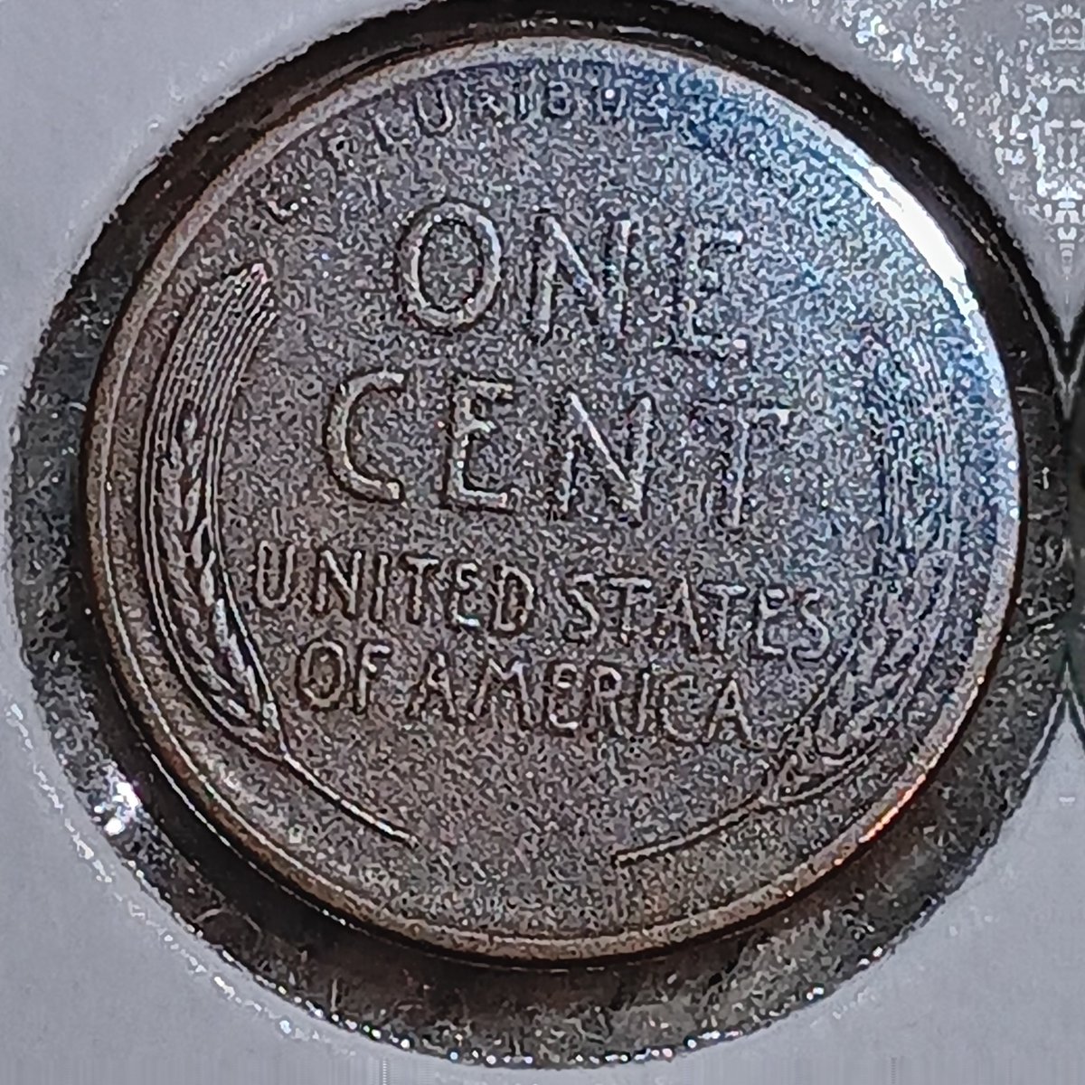 Arrowheadbroken tweet media