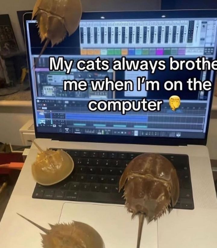 dinosaur tweet media