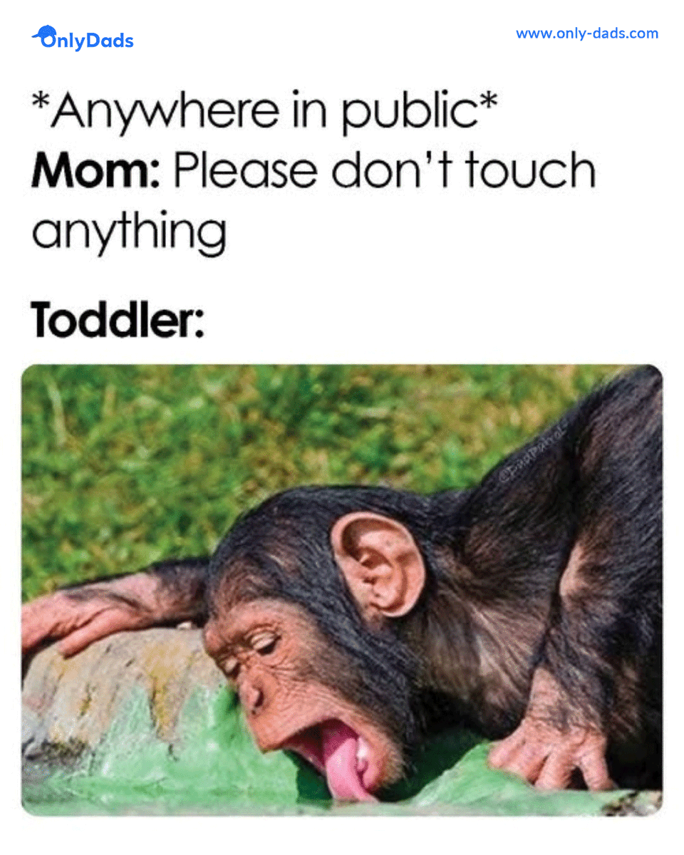 Only Dads tweet media