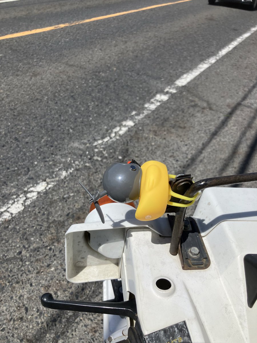 相棒が来ました