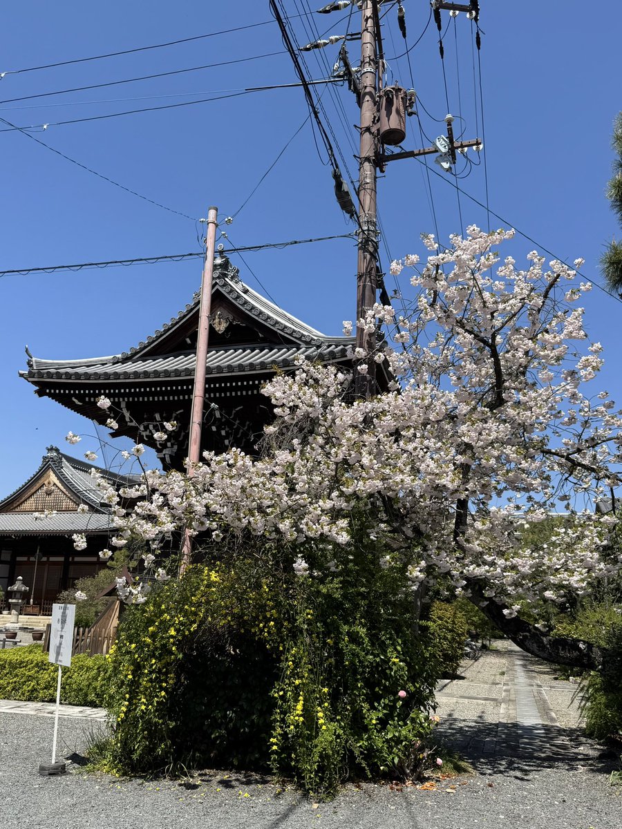 🎐🌻ゆーひん🌻🎐 tweet media