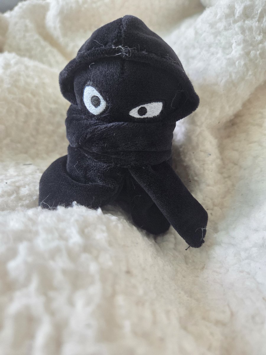 코부 솜인형 작업실 tweet media