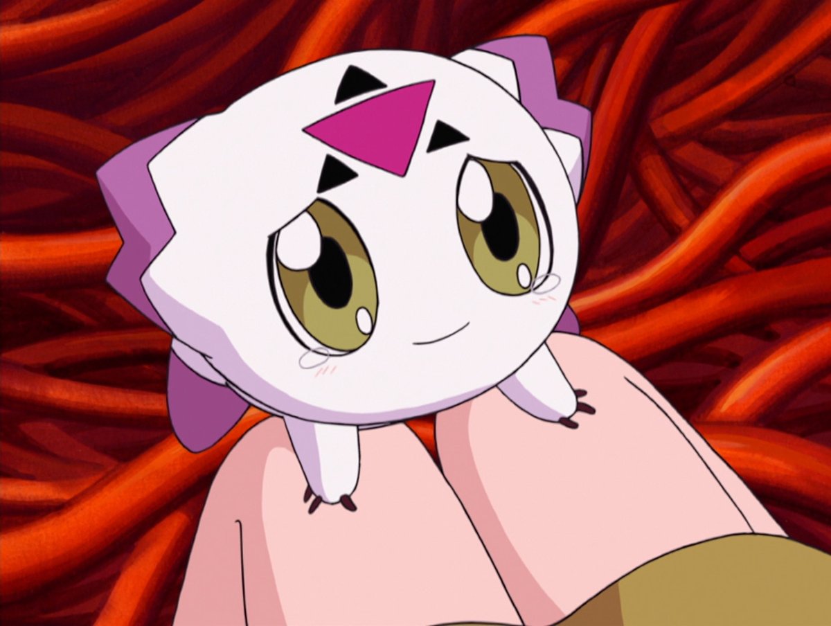 tetsuwan ∀nder 🍖 tweet media