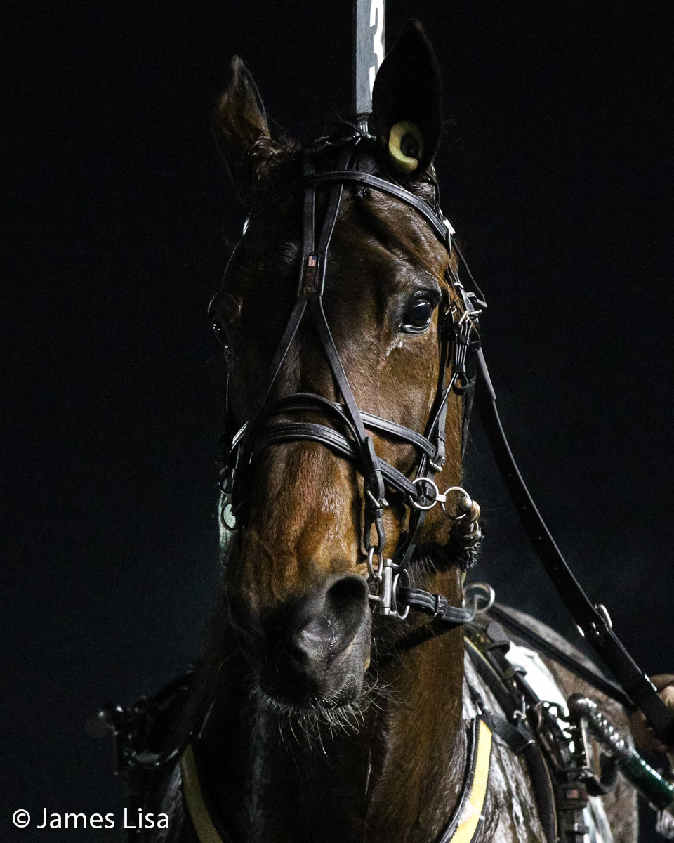 LisaPhotoM1's tweet photo. Antognoni S wins the 1st leg of the JL Cruze @TheMeadowlands @DaveLittleBigM #harnessracing #PlayBigM @RonBurkeRacing @MichaelBruscemi @Gingras3 https://t.co/6yIV2BMLpM