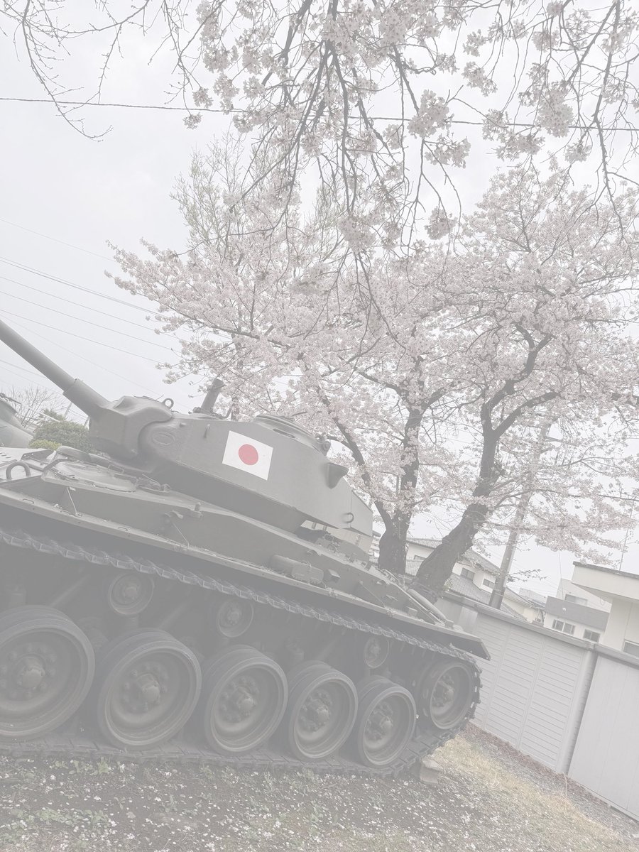 w_jufk0's tweet photo. 自衛隊桜まつり🌸

#日常垢 https://t.co/mIWhIrHb00