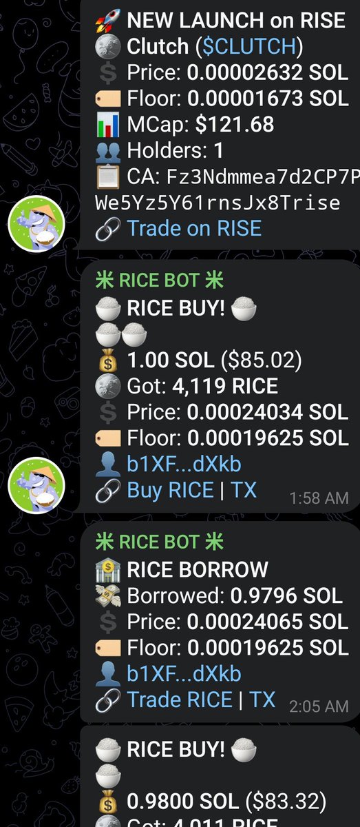 Ronke Rice Farmer Rice Token 米 R I C E 米 (@riceonrise) / Posts / X