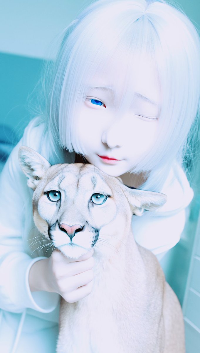 眠眠魚アリス tweet media