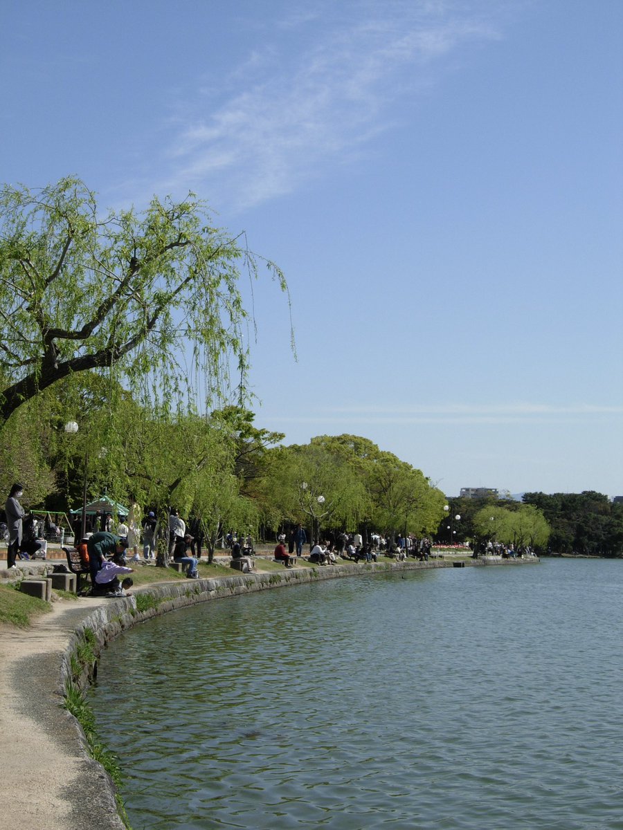 여름🌞 tweet media