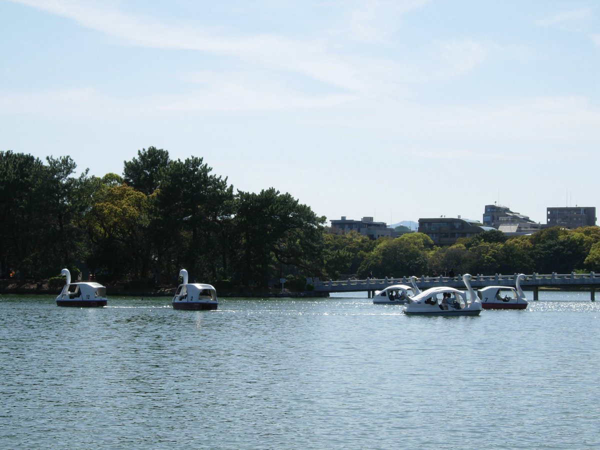 여름🌞 tweet media